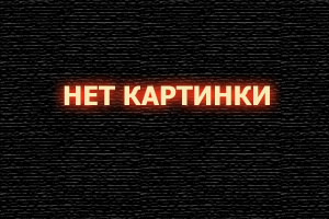 Я — медведь 